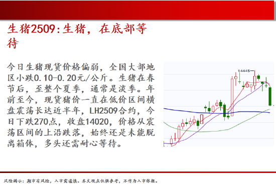中天期货:原油短线继续走弱 玻璃涨势放缓