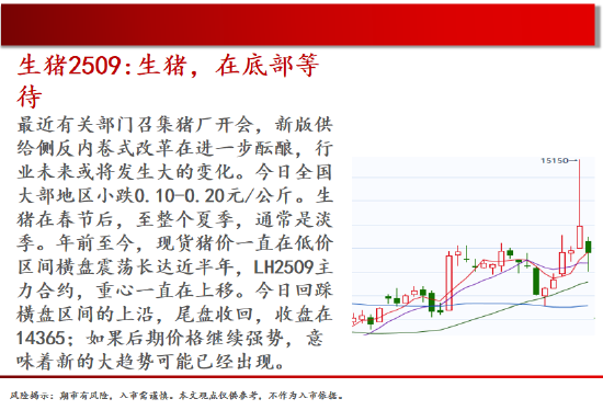 中天期货:玻璃在碰涨停 红枣区间震荡