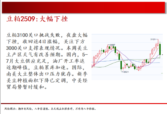 中天期货:玻璃在碰涨停 红枣区间震荡