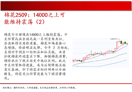 中天期货:玻璃在碰涨停 红枣区间震荡