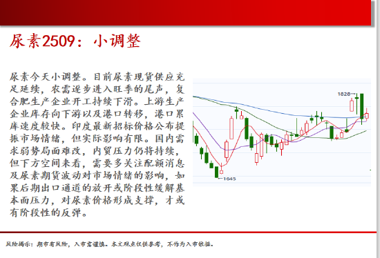 中天期货:玻璃在碰涨停 红枣区间震荡