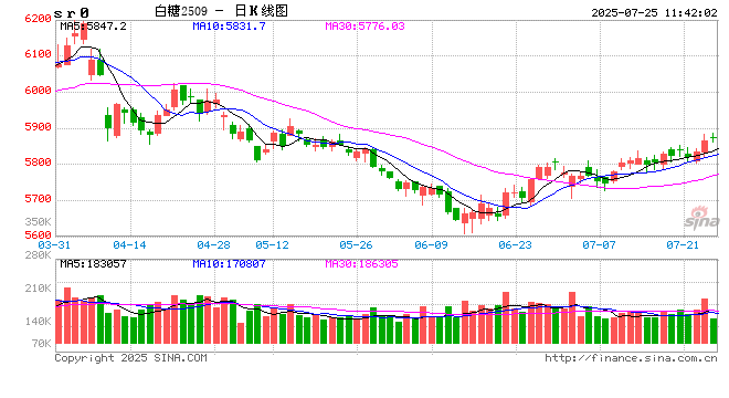 光大期货：7月25日软商品日报