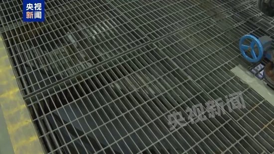 三家官网已变黑白！中金黄金市值蒸发超50亿，6名学生遇难最新细节披露