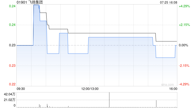 飞扬集团合共授出8320万份购股权