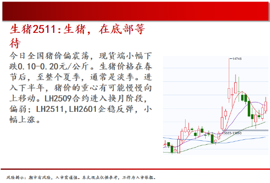 中天期货:螺纹震荡调整上行 白银反弹