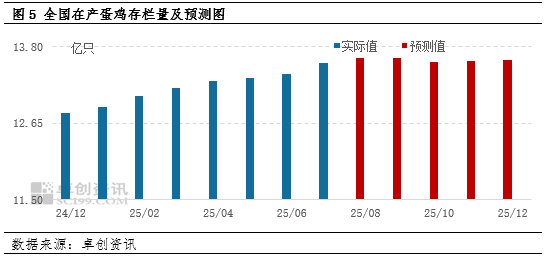 供应高压下的2025年蛋市：低价常态与“旺季不旺”