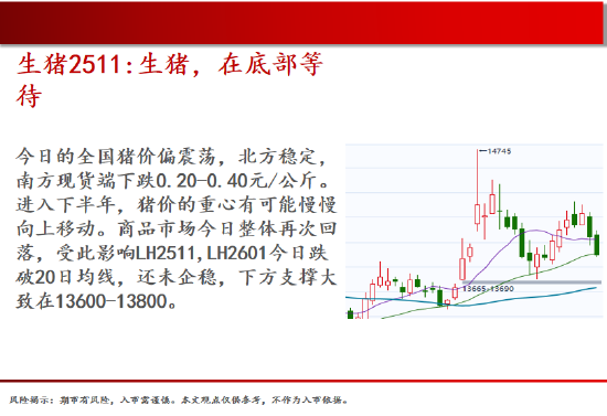 中天期货:生猪在底部等待 螺纹震荡下行