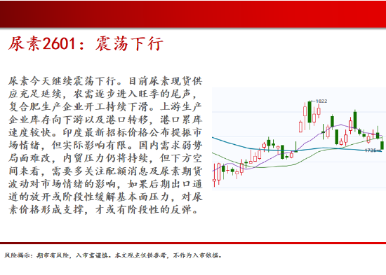 中天期货:生猪在底部等待 螺纹震荡下行