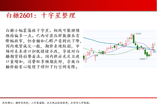 中天期货:生猪在底部等待 螺纹震荡下行