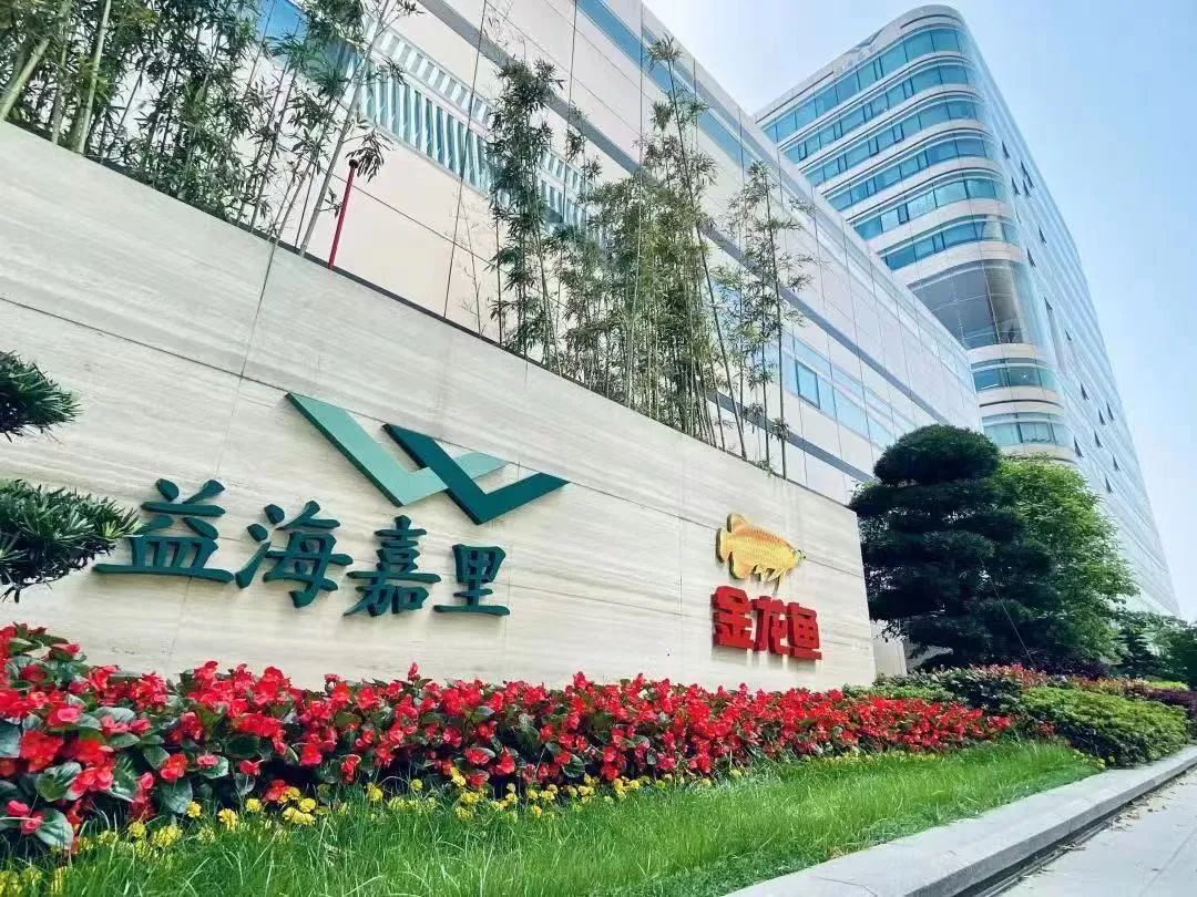 1700亿的金龙鱼，打了场翻身仗