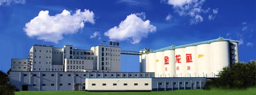 1700亿的金龙鱼，打了场翻身仗
