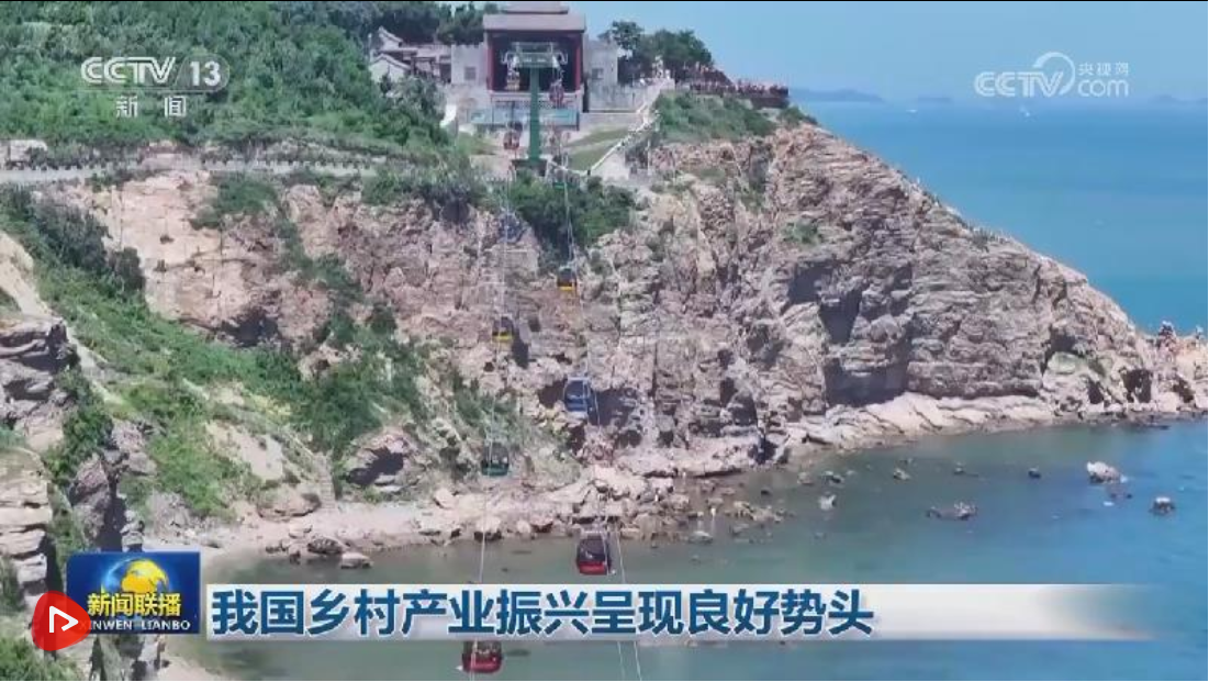 我国乡村产业振兴呈现良好势头