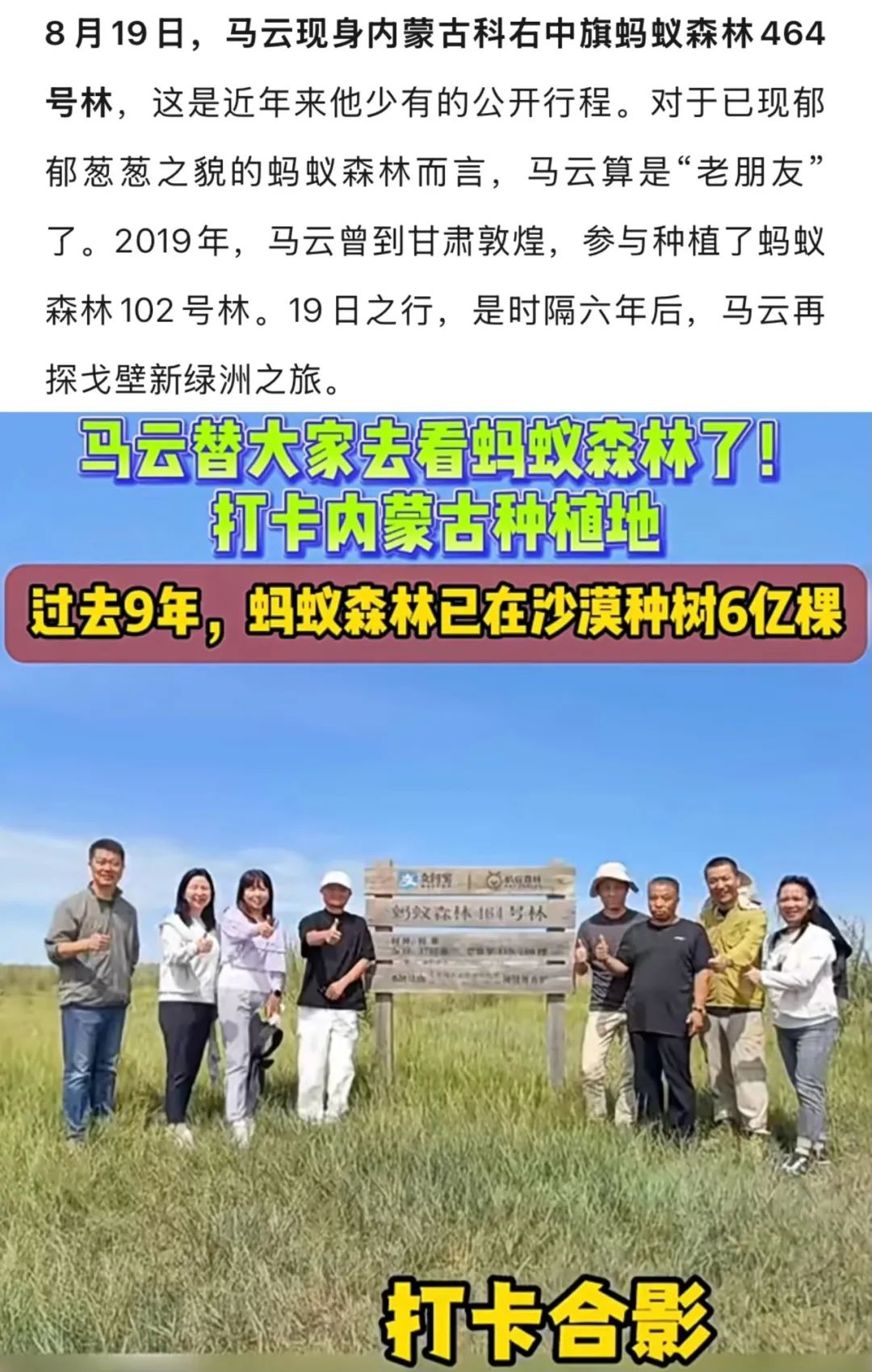 马云打卡蚂蚁森林，王宁感觉泡泡玛特今年营收300亿很轻松