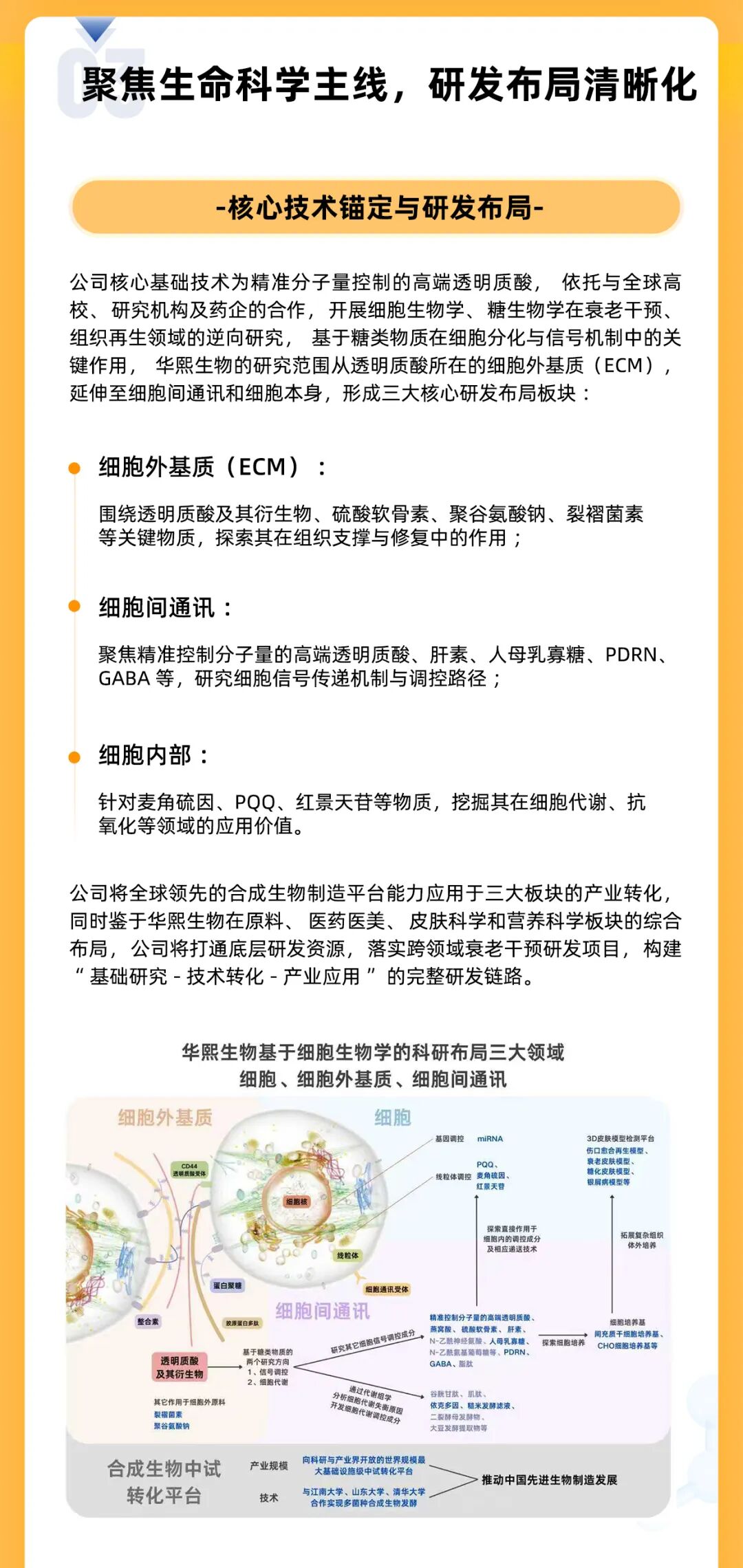 一图读懂：华熙生物2025上半年业绩