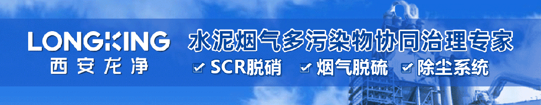 塞拉利昂工贸部一行到大连天瑞水泥参观考察