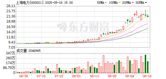 与控股股东新设子公司高管人员重合、终止重组不影响海外战略500亿元市值牛股上海电力投资者说明会信息量大
