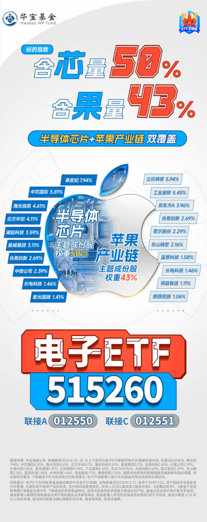 200亿主力资金爆买！半导体走高，电子板块领涨两市！电子ETF（515260）盘中飙涨超4.6%，瑞芯微涨停