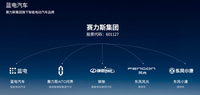 赛力斯等成立重庆蓝电汽车科技有限公司，注册资本 5 亿元