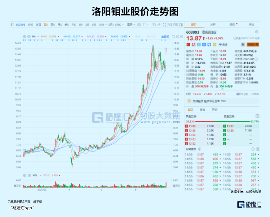 历史新高！7千亿“铜王”紫金矿业涨疯了