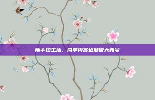 随手拍生活，简单内容也能做大账号