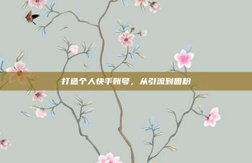 打造个人快手账号，从引流到固粉