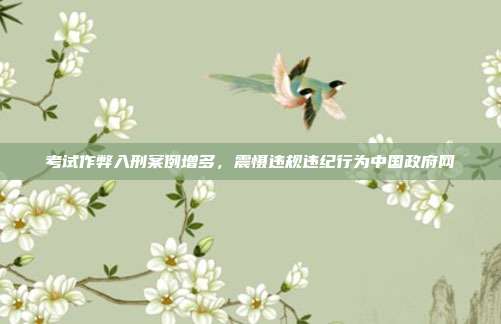 考试作弊入刑案例增多，震慑违规违纪行为中国政府网