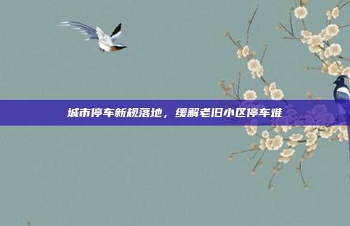 城市停车新规落地，缓解老旧小区停车难
