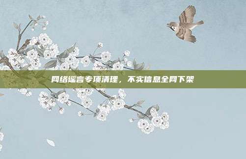 网络谣言专项清理，不实信息全网下架
