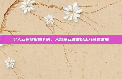 个人云存储价格下调，大容量云端备份走入普通家庭