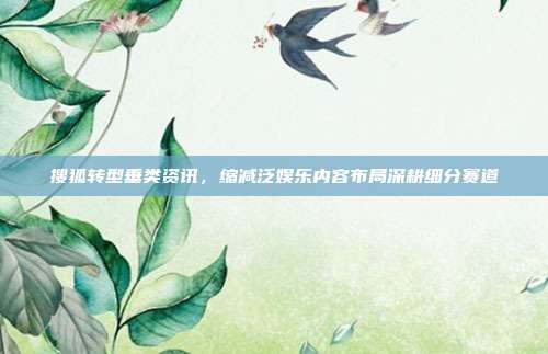 搜狐转型垂类资讯，缩减泛娱乐内容布局深耕细分赛道