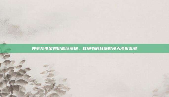 共享充电宝调价规范落地，杜绝节假日临时漫天涨价乱象