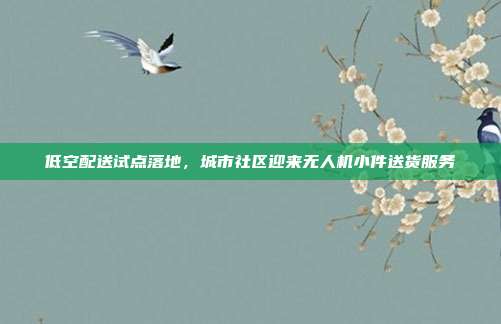 低空配送试点落地，城市社区迎来无人机小件送货服务