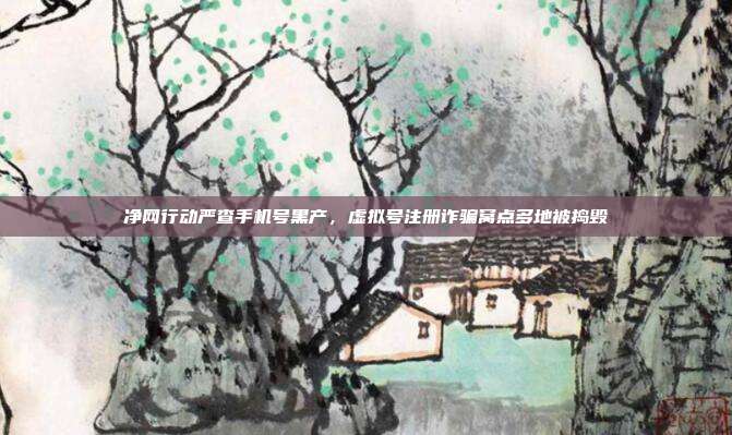 净网行动严查手机号黑产，虚拟号注册诈骗窝点多地被捣毁