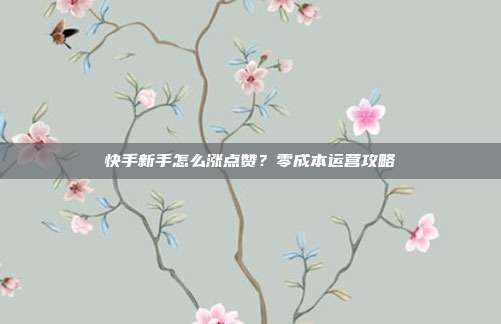 快手新手怎么涨点赞？零成本运营攻略