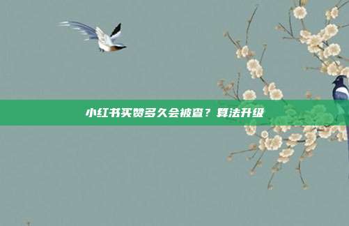 小红书买赞多久会被查？算法升级