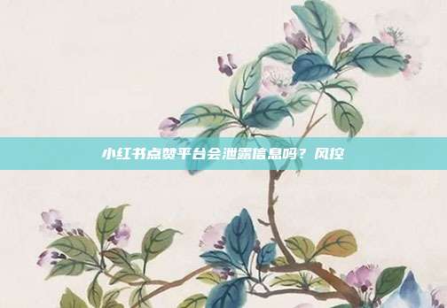 小红书点赞平台会泄露信息吗？风控