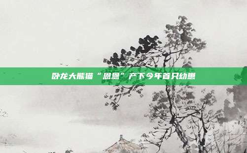 卧龙大熊猫“恩恩”产下今年首只幼崽