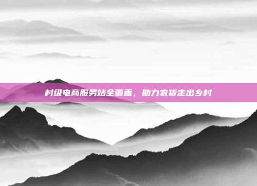 村级电商服务站全覆盖，助力农货走出乡村