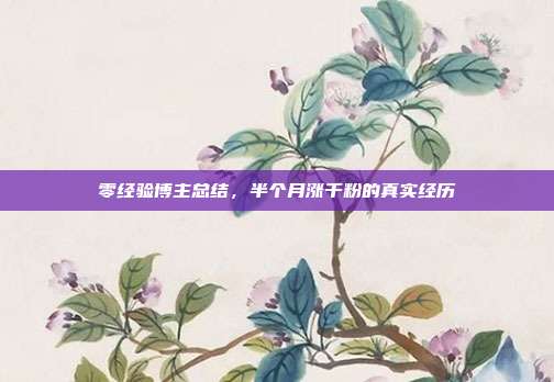 零经验博主总结，半个月涨千粉的真实经历