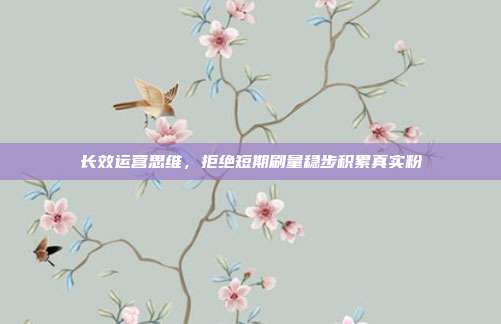 长效运营思维，拒绝短期刷量稳步积累真实粉