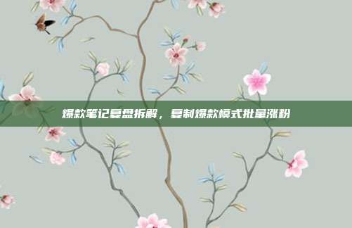 爆款笔记复盘拆解，复制爆款模式批量涨粉