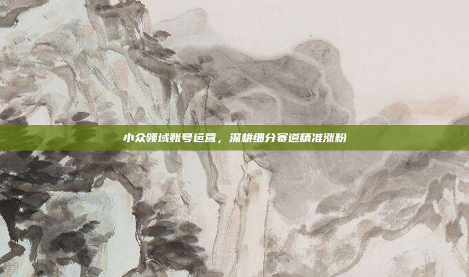 小众领域账号运营，深耕细分赛道精准涨粉