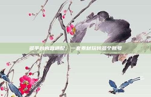 多平台内容适配，一套素材玩转多个账号