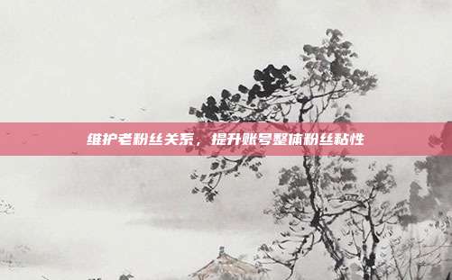 维护老粉丝关系，提升账号整体粉丝粘性