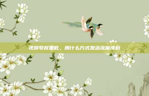 视频号权重低，用什么方式激活流量涨粉