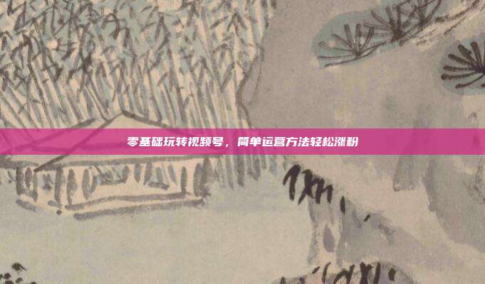 零基础玩转视频号，简单运营方法轻松涨粉