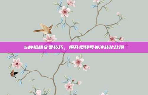 5种排版文案技巧，提升视频号关注转化比例