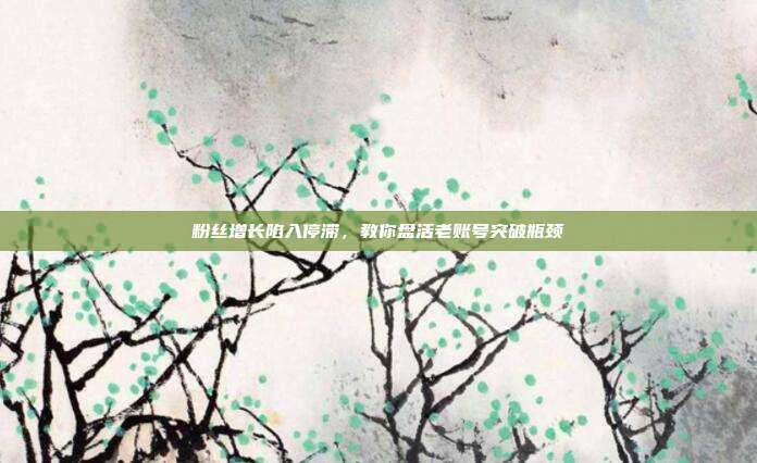 粉丝增长陷入停滞，教你盘活老账号突破瓶颈