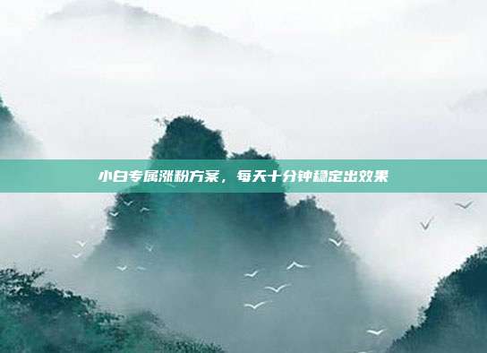 小白专属涨粉方案，每天十分钟稳定出效果