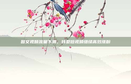 图文视频流量下滑，转型短视频继续高效涨粉
